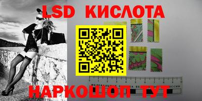 гидра Славгород