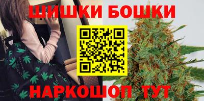 гидра Славгород