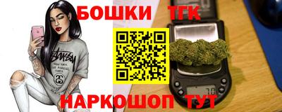 гидра Славгород