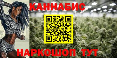 СК Сланцы