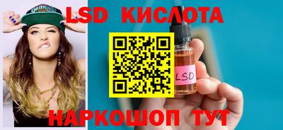 гидра Славгород